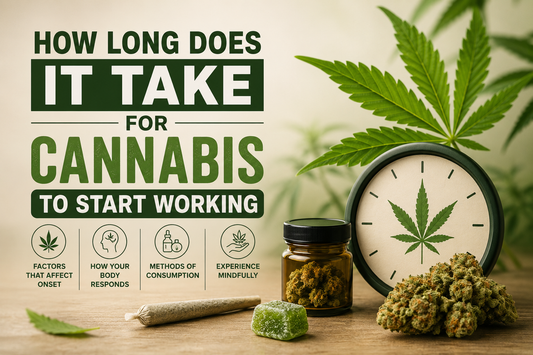 How Long Does It Take for Cannabis to Start Working