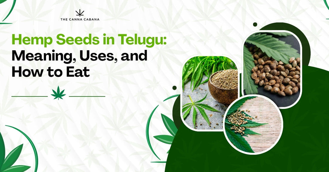 Hemp Seeds in Telugu: Meaning, Uses, and How to Eat