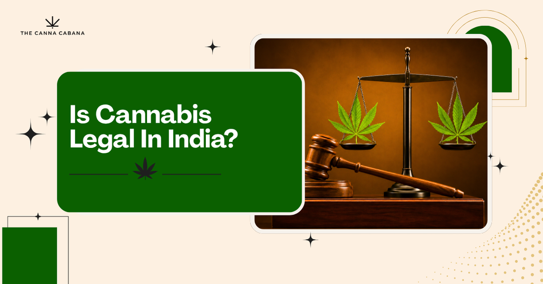 Is Cannabis Legal In India?