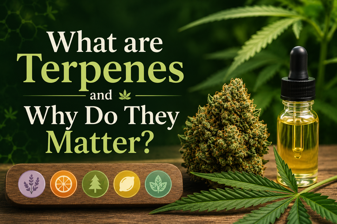 What are Terpenes and Why Do They Matter?