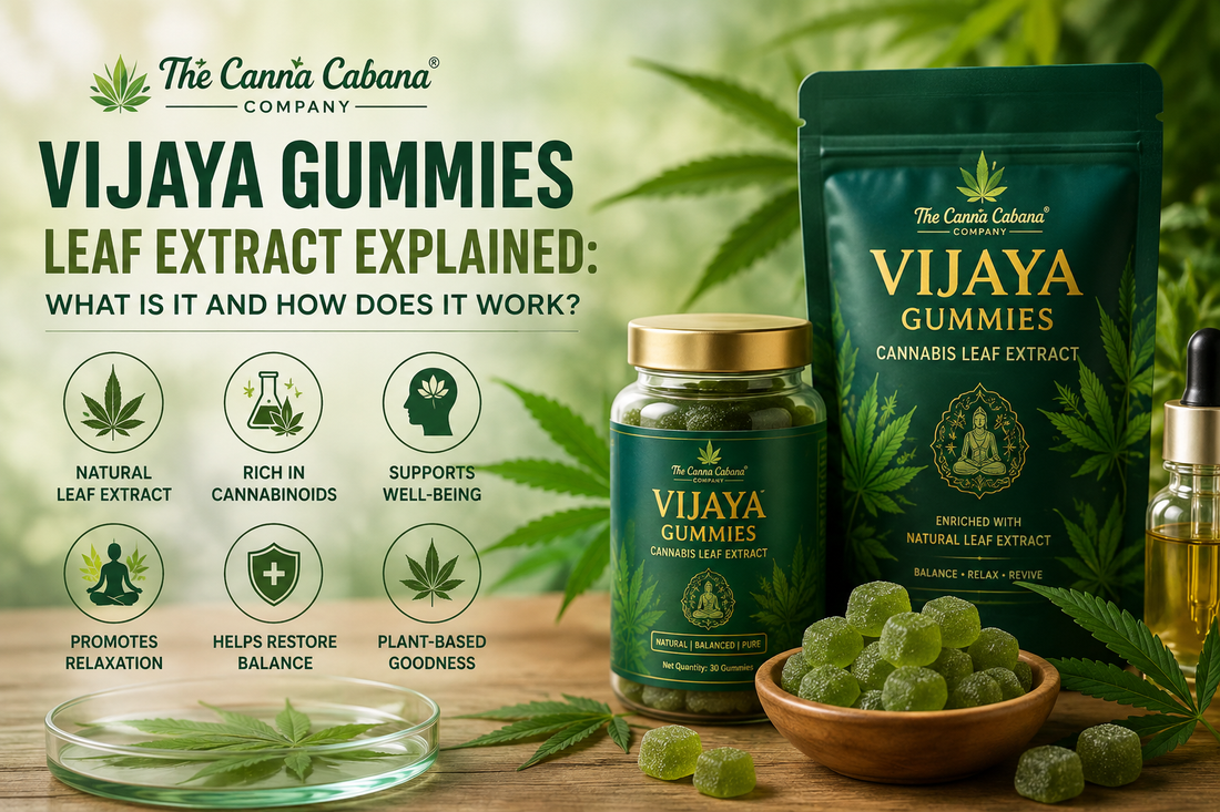 Vijaya Gummies Leaf Extract Explained: What Is It and How Does It Work?